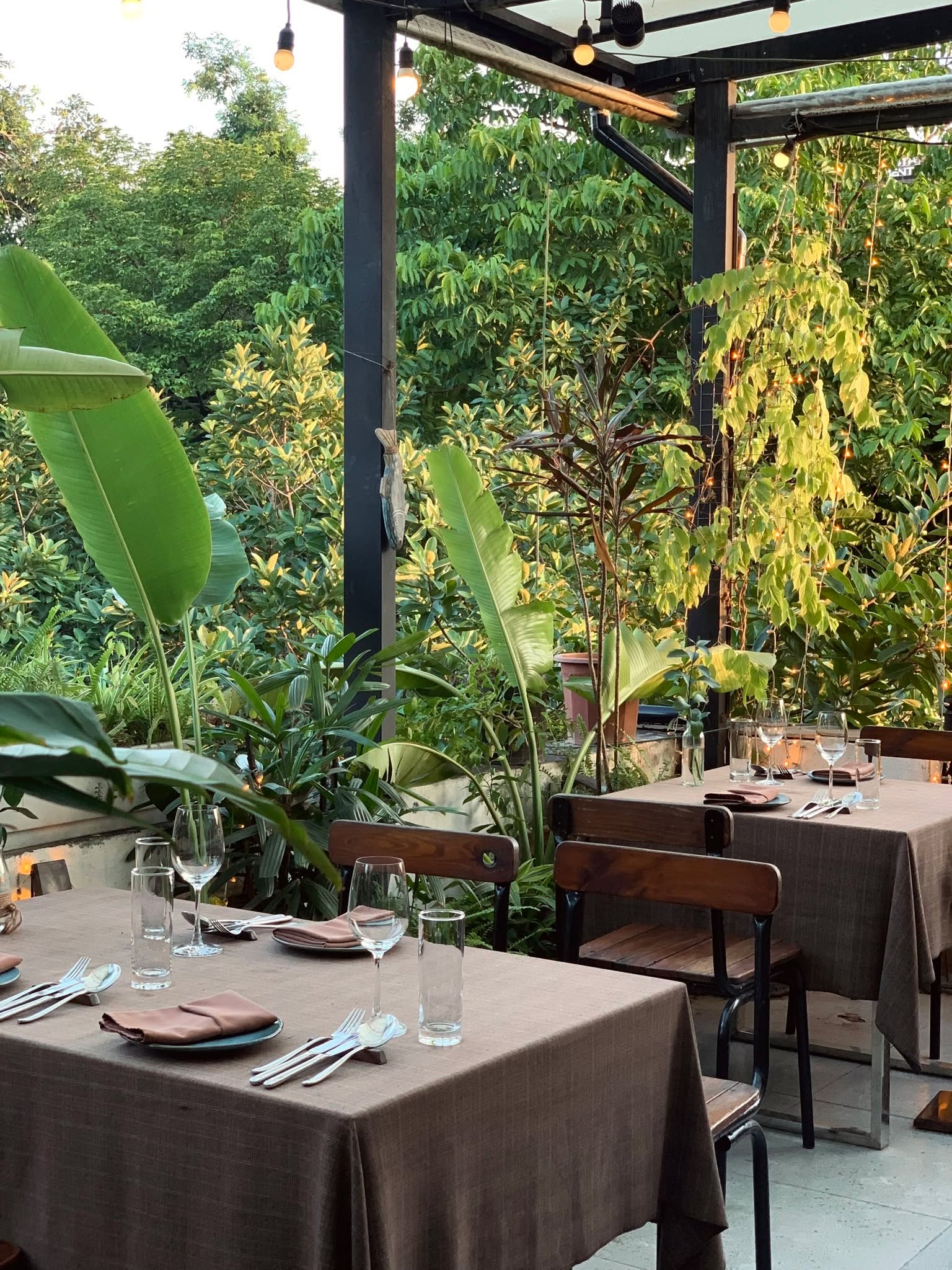 Đằng Sau Món Hàu Nhật Tươi Mát – Tại Salmonoid — photo 4