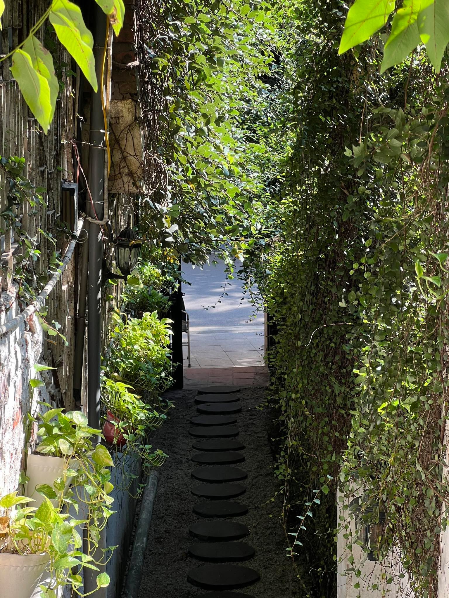 Salmonoid là Nhà: những Mảnh Ghép Tô Vẽ Nên Vệt Màu Thời Gian