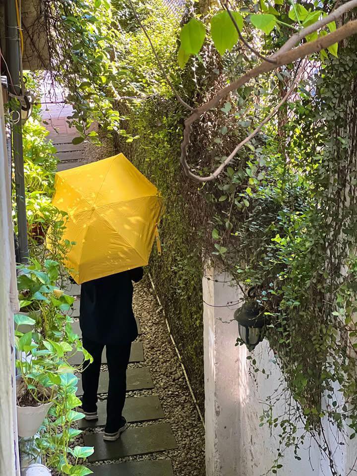 Ô Nhỏ cùng Bạn Bước qua những Ngày Mưa – Tại Salmonoid