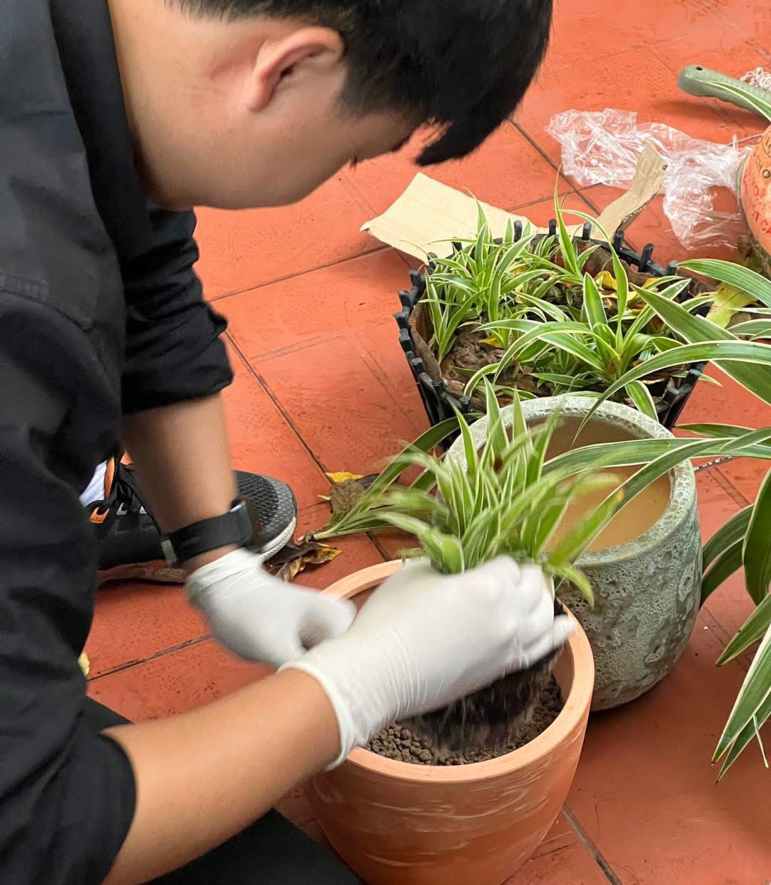 Mùa Hè trong Khu Vườn Nhỏ của Salmonoid — photo 3