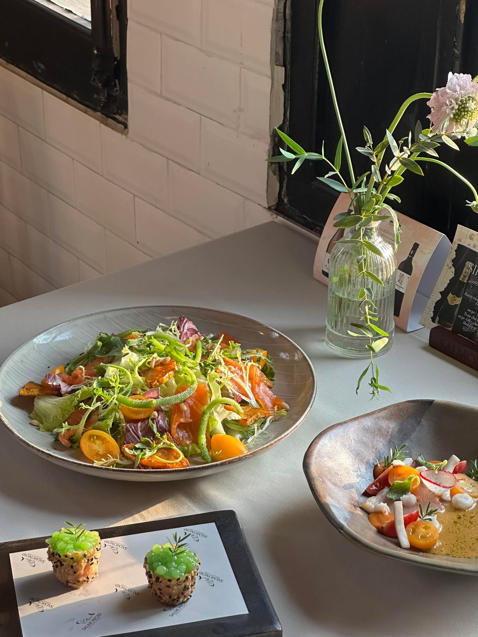 Vị Hạ Vương Vấn – Tại Salmonoid