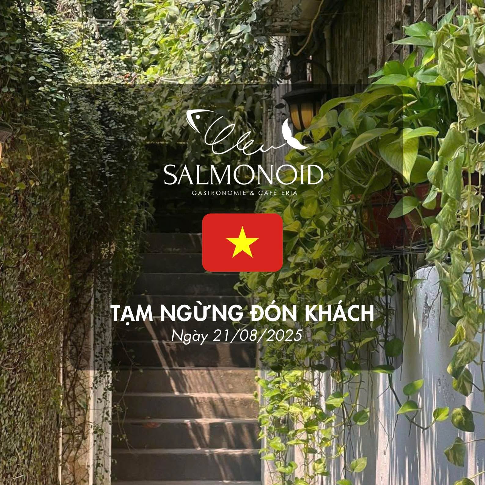 Tạm Ngừng Đón Khách – Tại Salmonoid