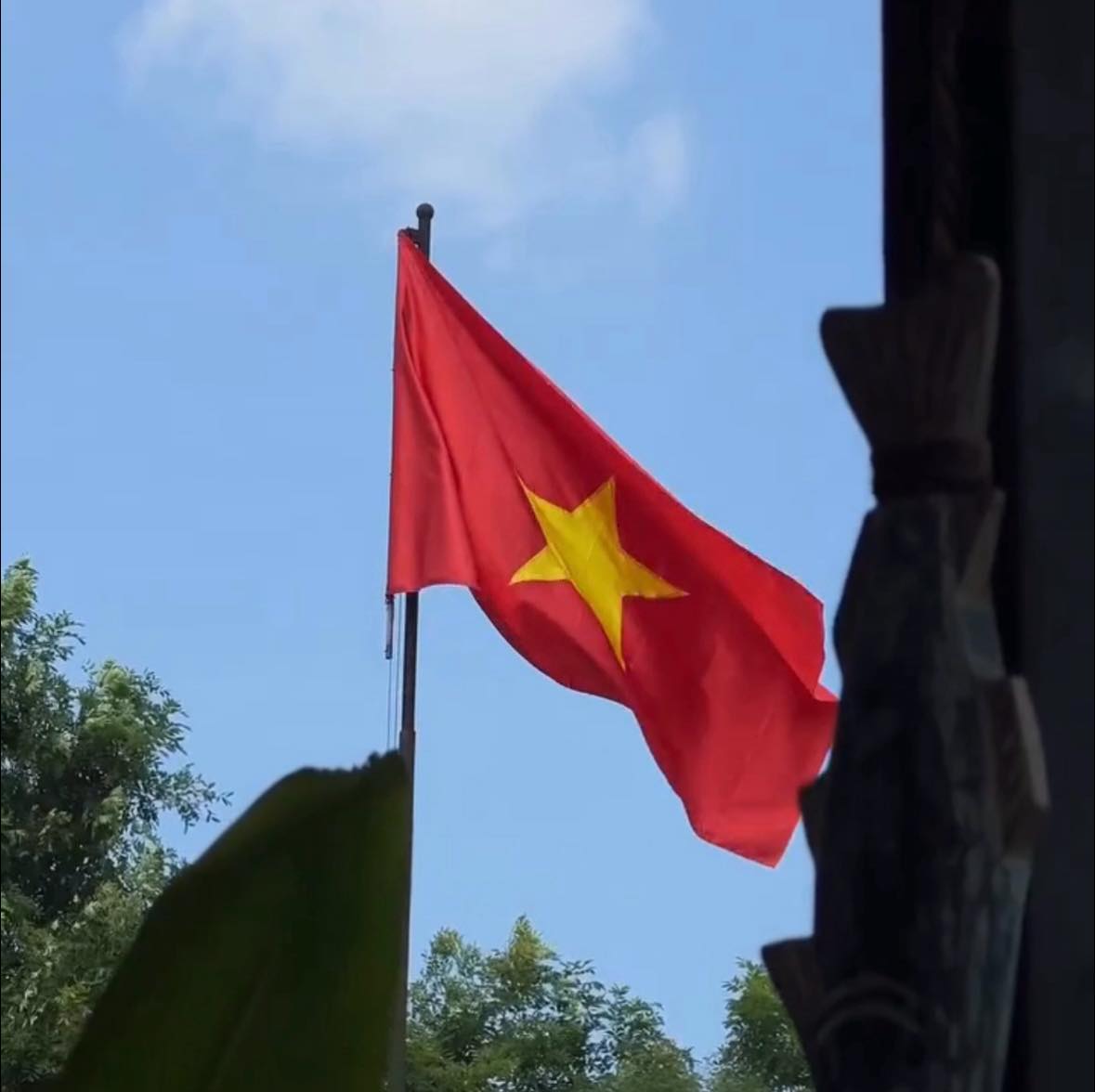 🇻🇳 Sắc Đỏ Rực Rỡ Niềm Tự Hào – Tại Salmonoid — photo 2