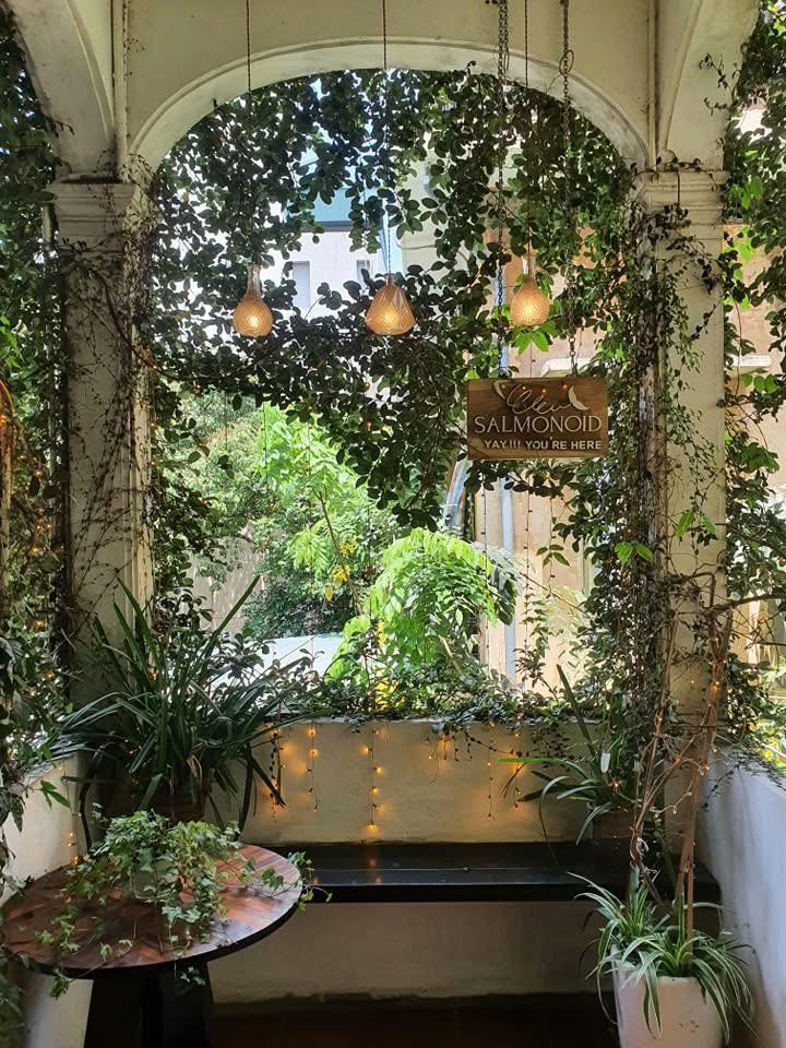 Giữ Lại Chút Dư Âm Cuối Tuần – Tại Salmonoid