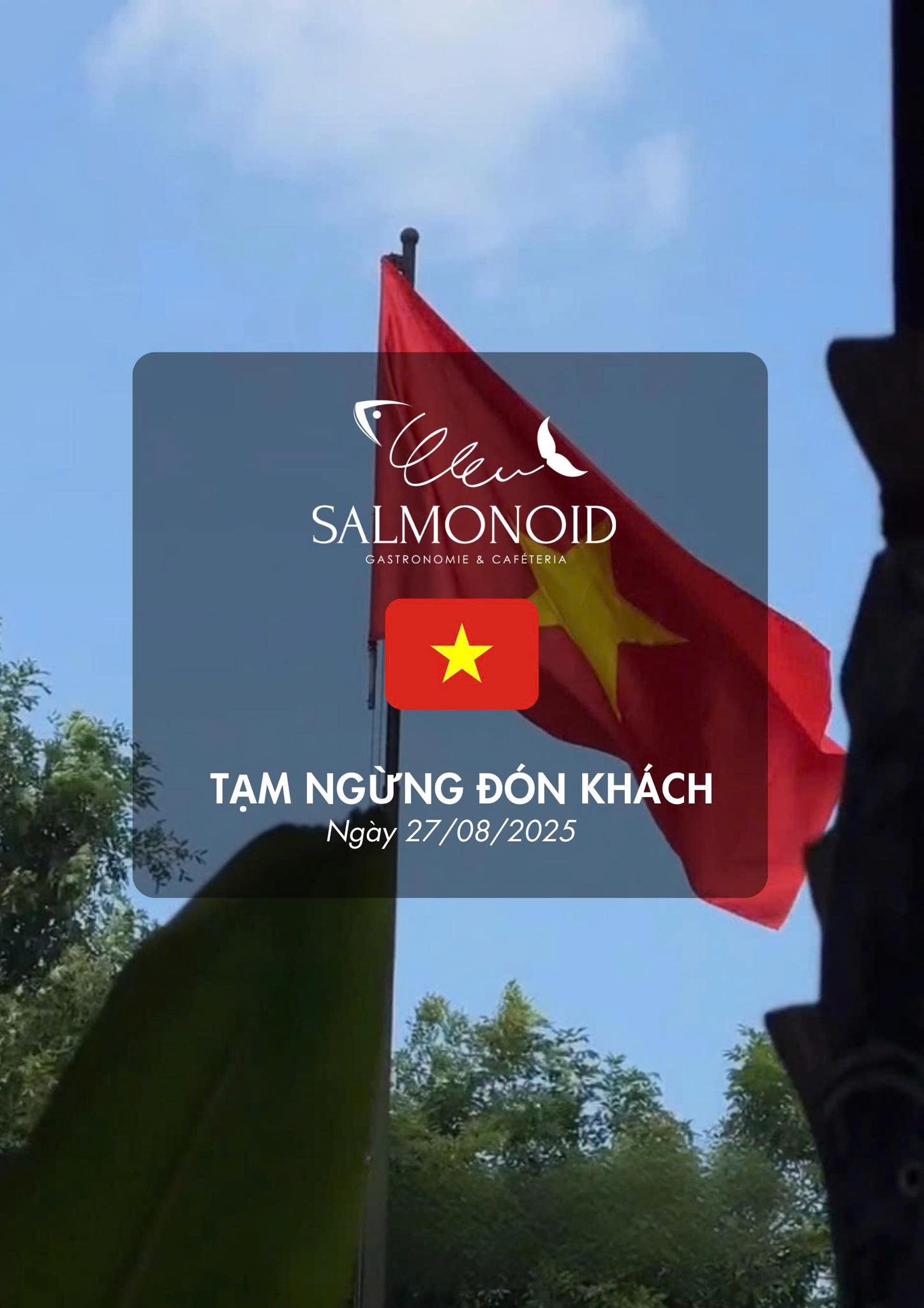 Hẹn Bạn Ngày Mai – Tại Salmonoid