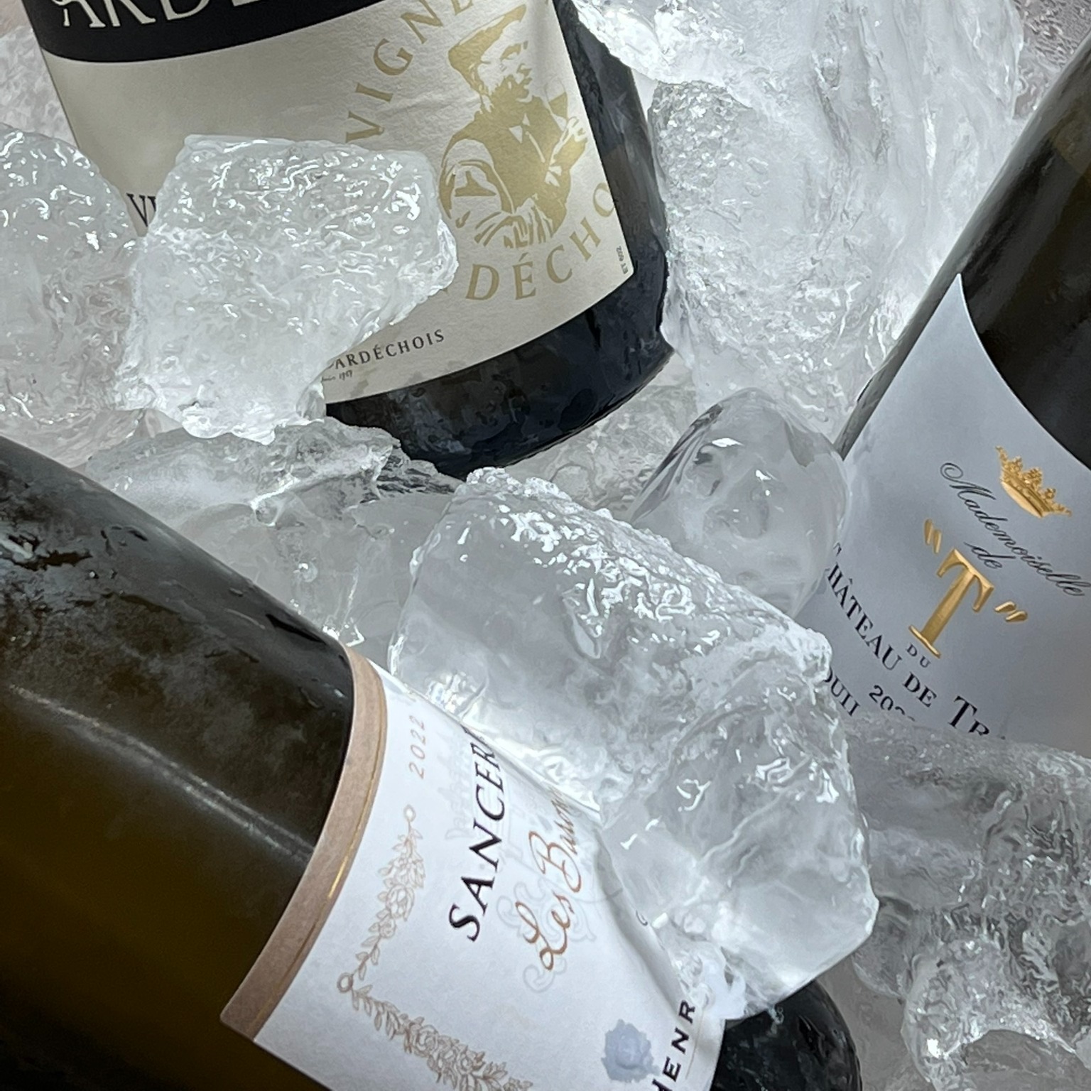 Love is in the breeze | Salmonoid — photo 2