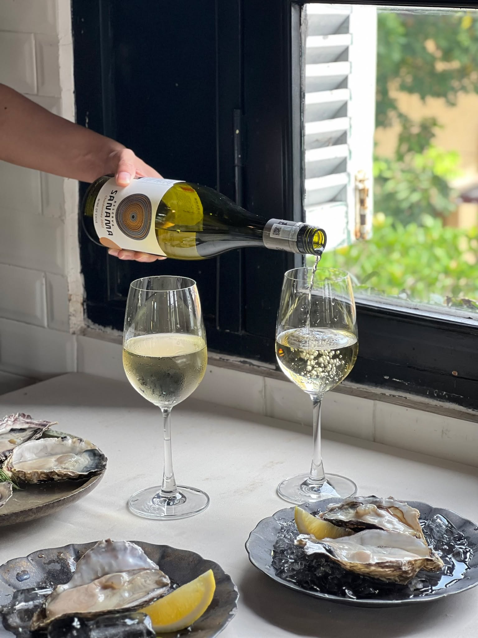 Love is in the breeze | Salmonoid — photo 4