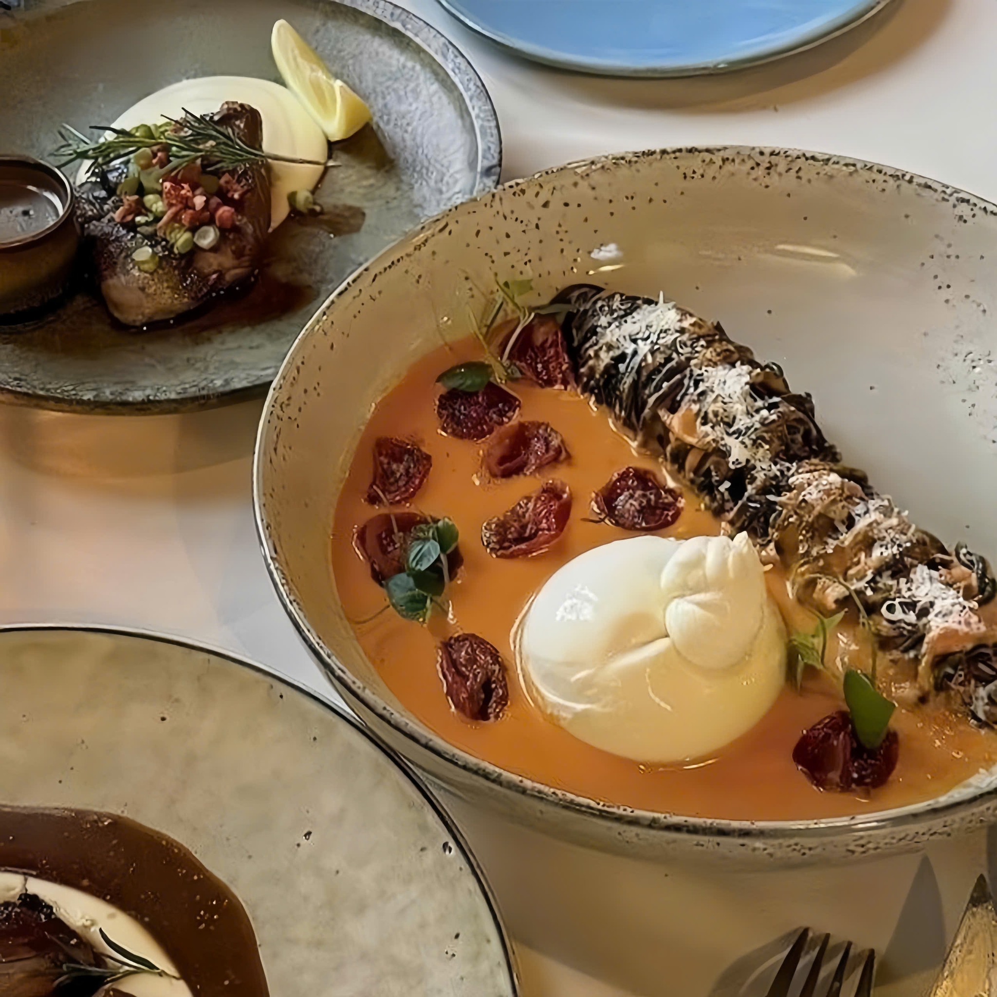 Chần Chừ Chi, Salmonoid Có Đủ Cheese — photo 4