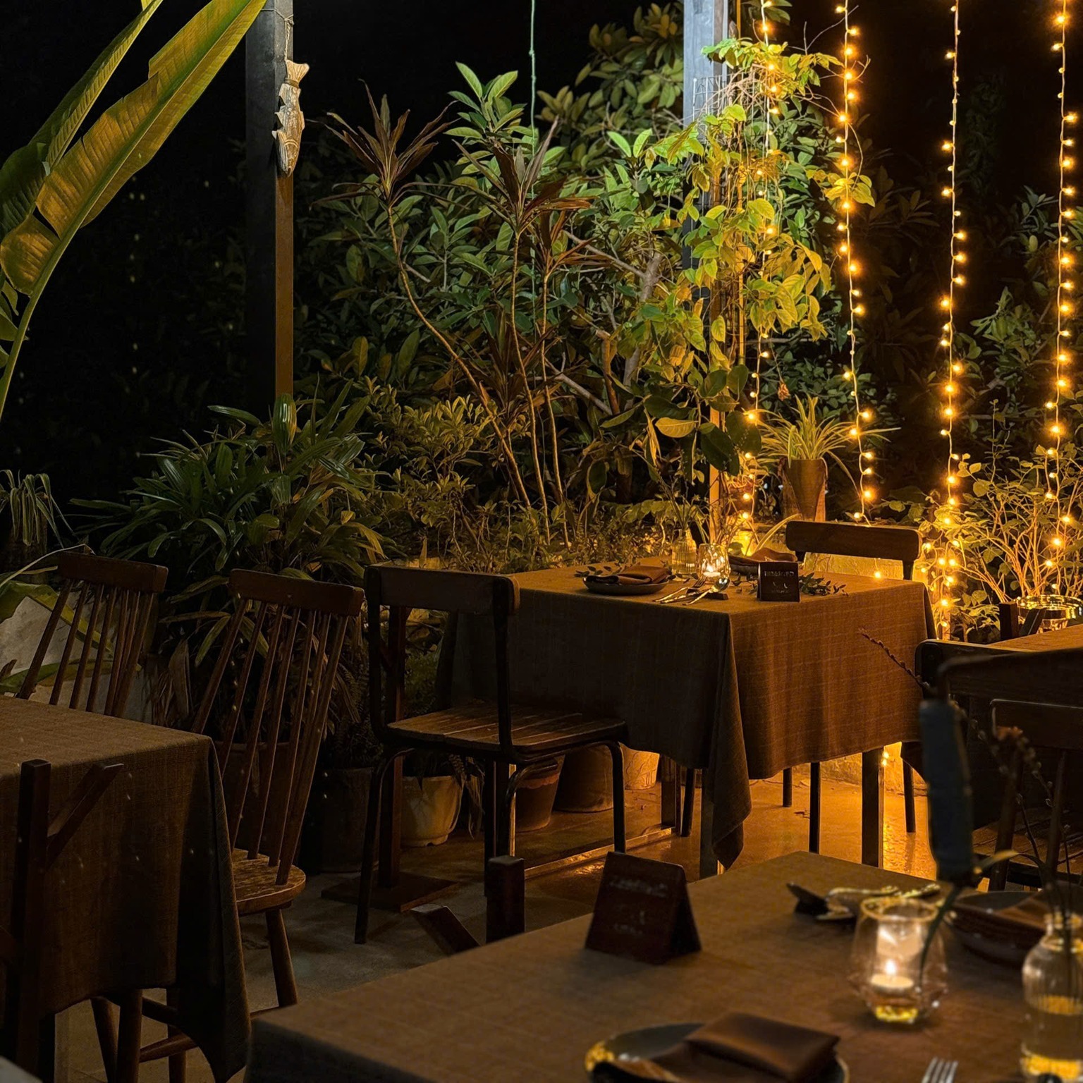 Hẹn Hò Dưới Trời Thu – Tại Salmonoid — photo 4