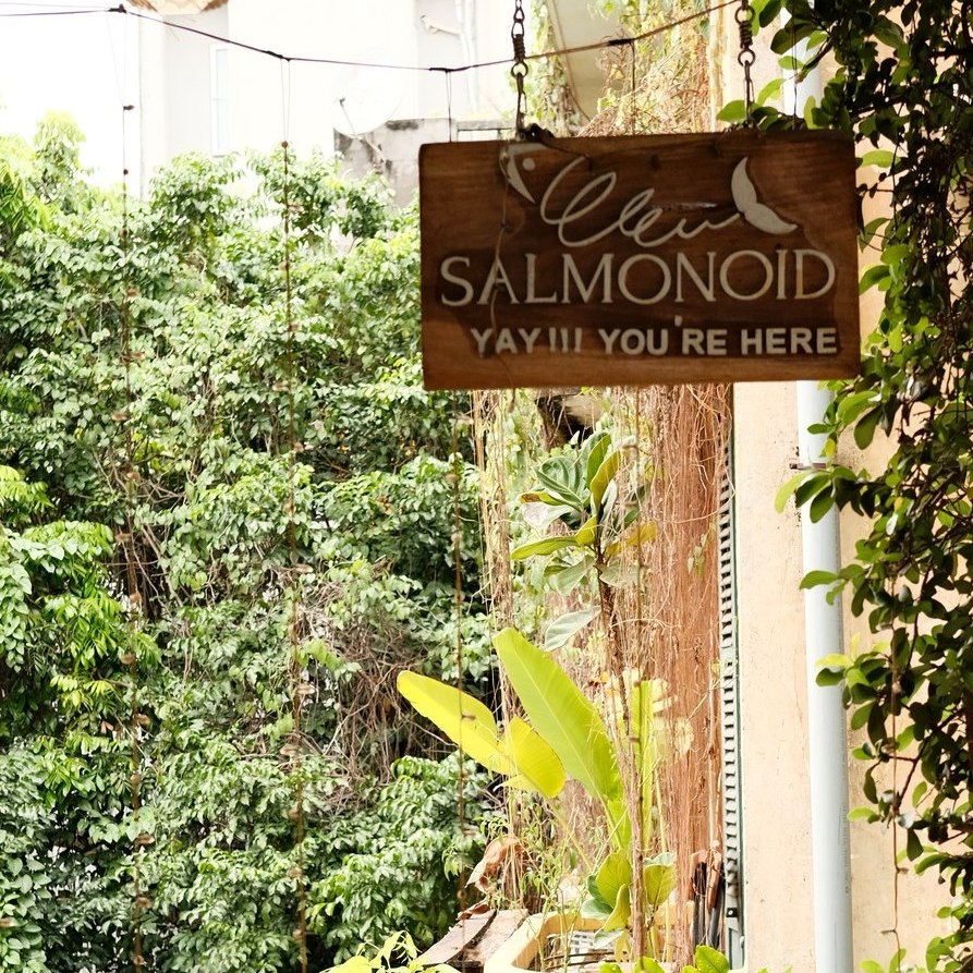 Gió Thu trong Khu Vườn Nhỏ – Tại Salmonoid — photo 4