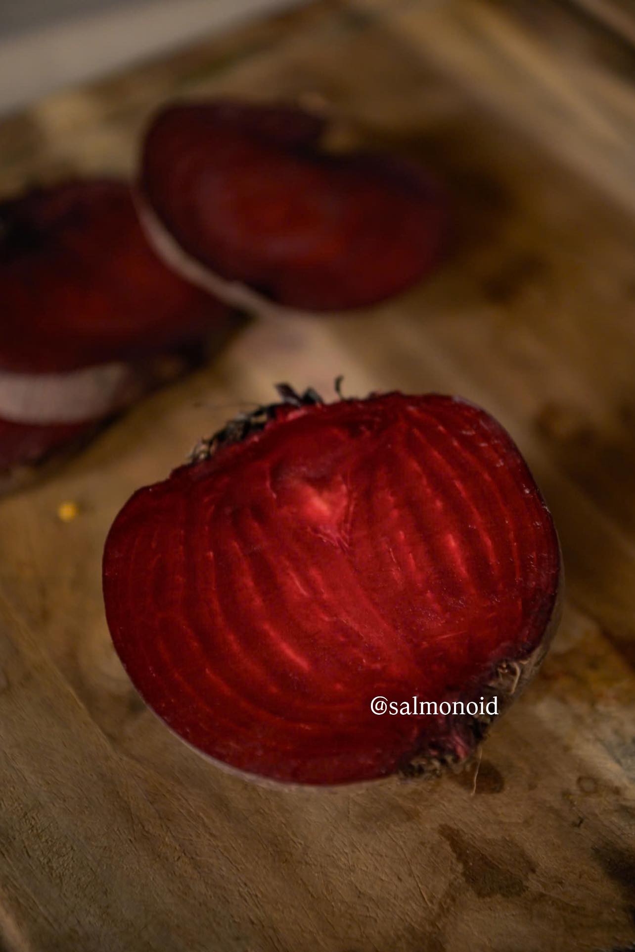 Sắc Đỏ của Mùa Đông – Tại Salmonoid