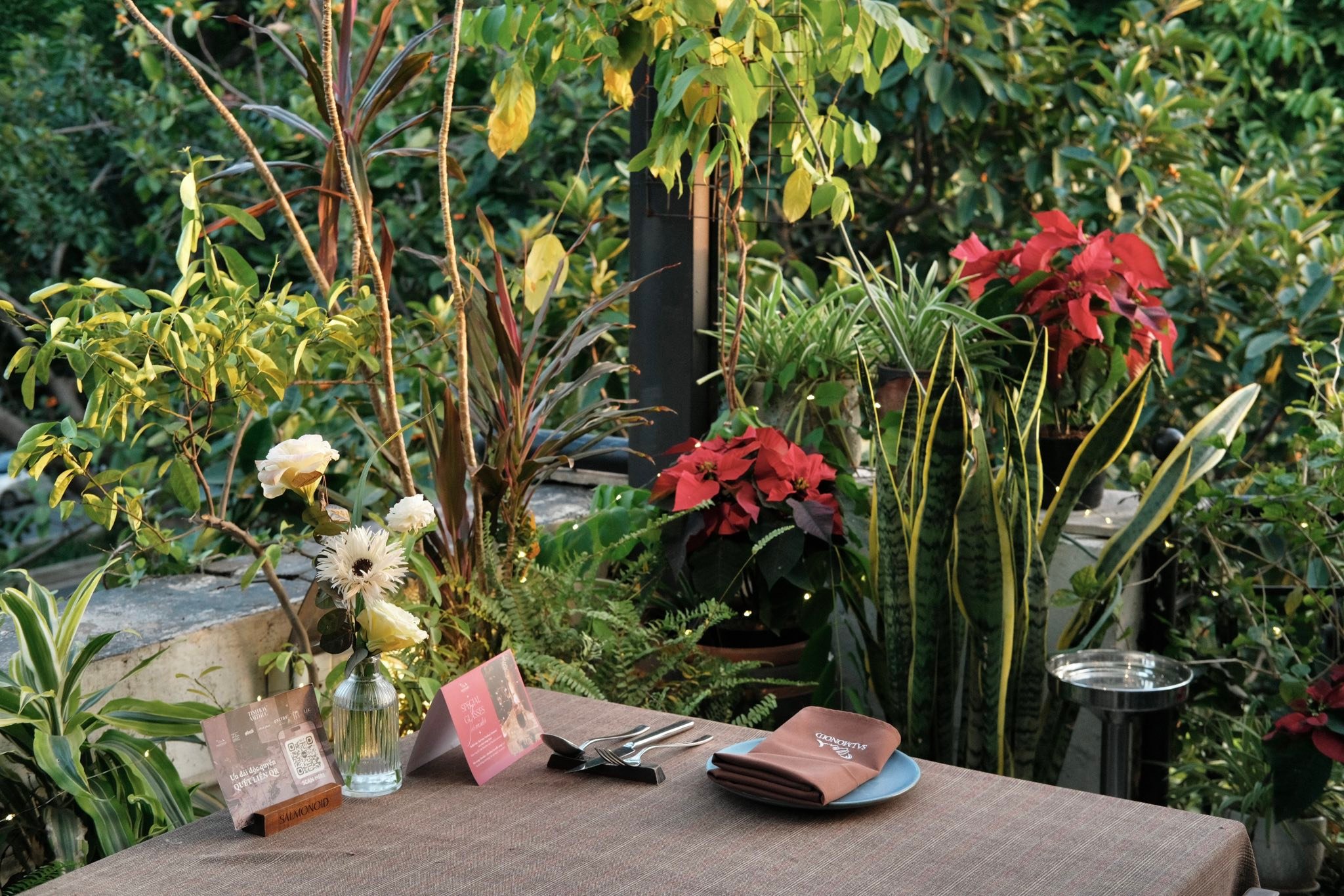 Buổi Trưa Nhẹ Nhàng Giữa Sắc Xanh – Tại Salmonoid