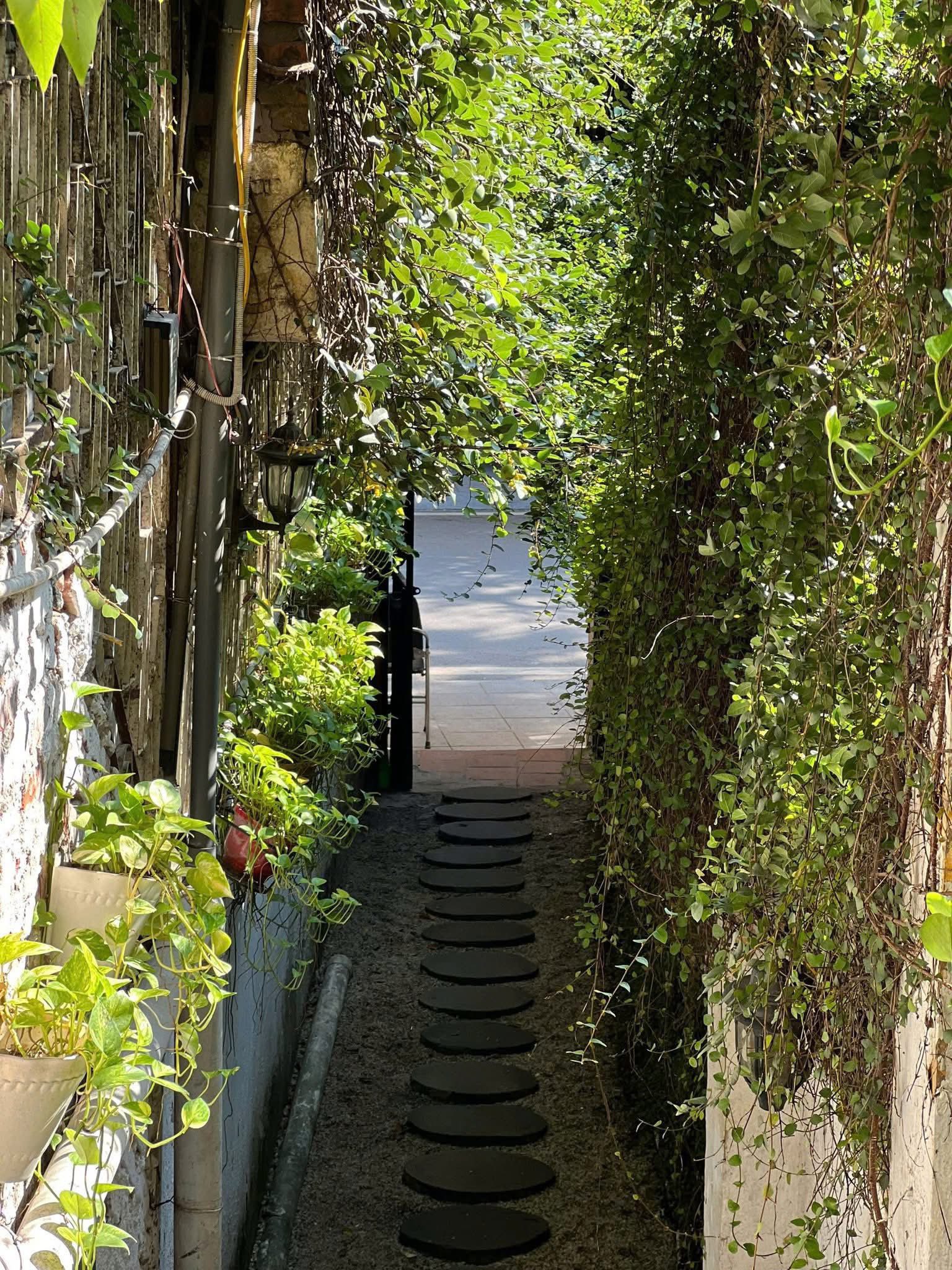 It’s Brunch Time!!! | Salmonoid