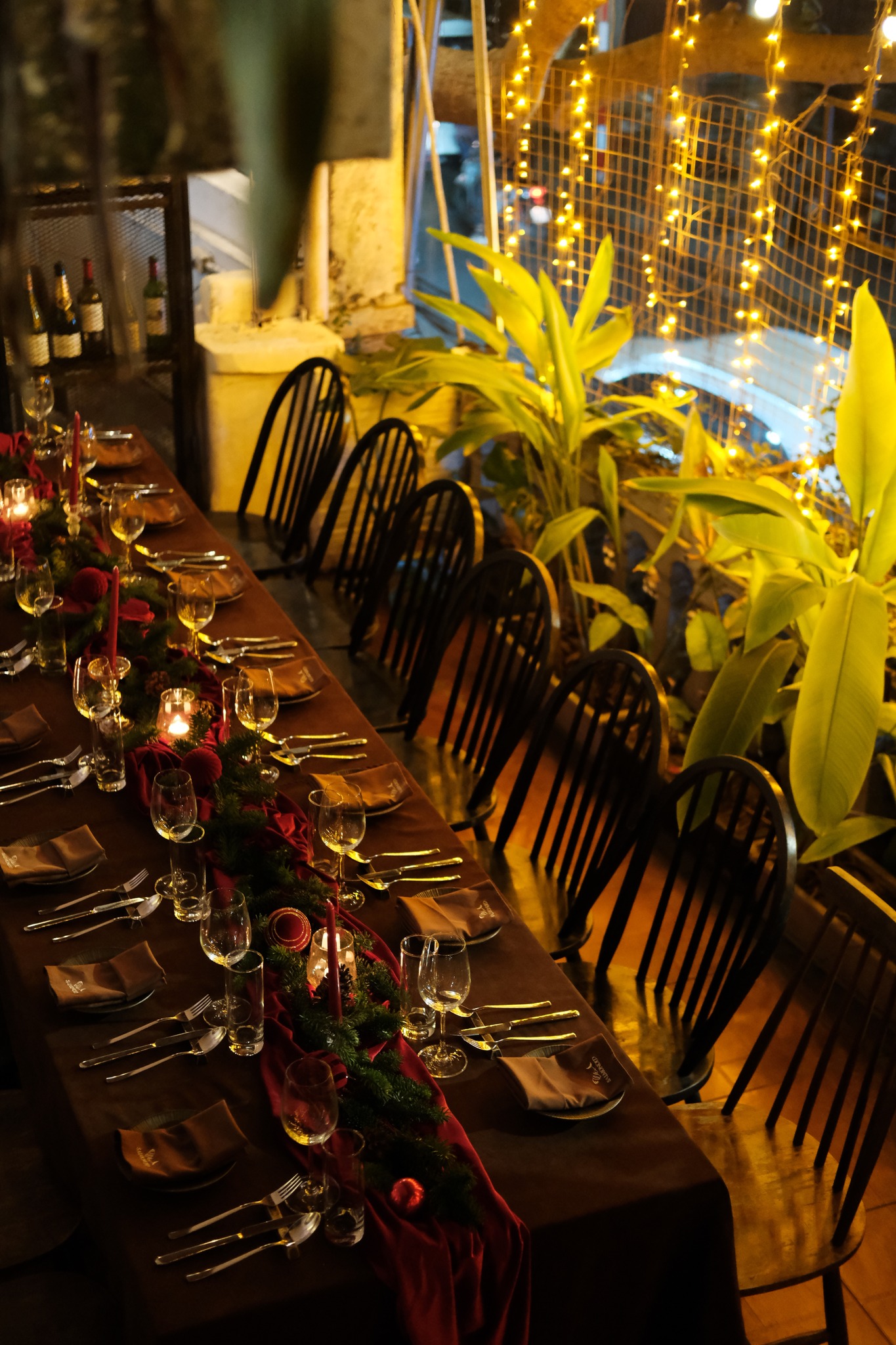 Khu Vườn Giáng Sinh – Tại Salmonoid — photo 3