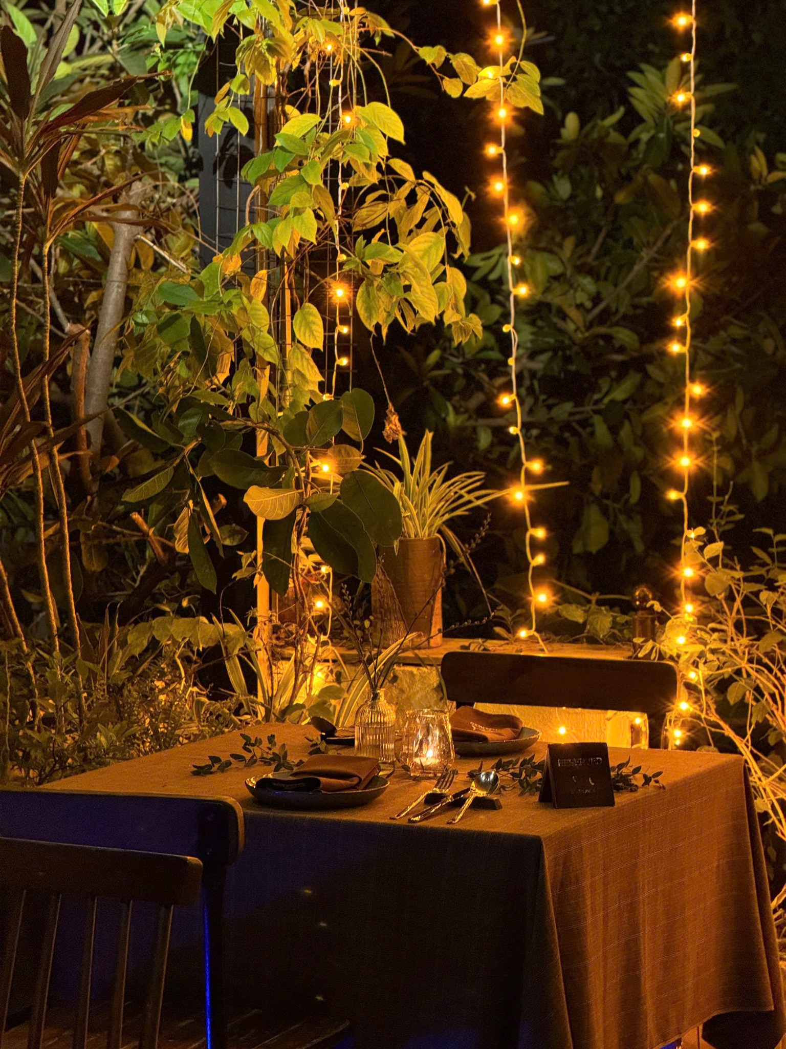 Spring for Two | Salmonoid