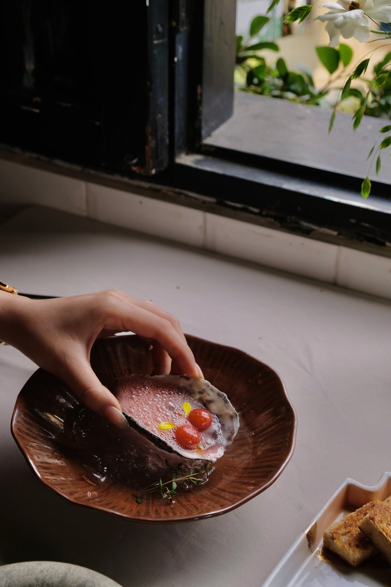 Hàu Nhật / Bọt Dâu Tây - Sắc Hồng Điểm Xuyết Bay Bổng Trên