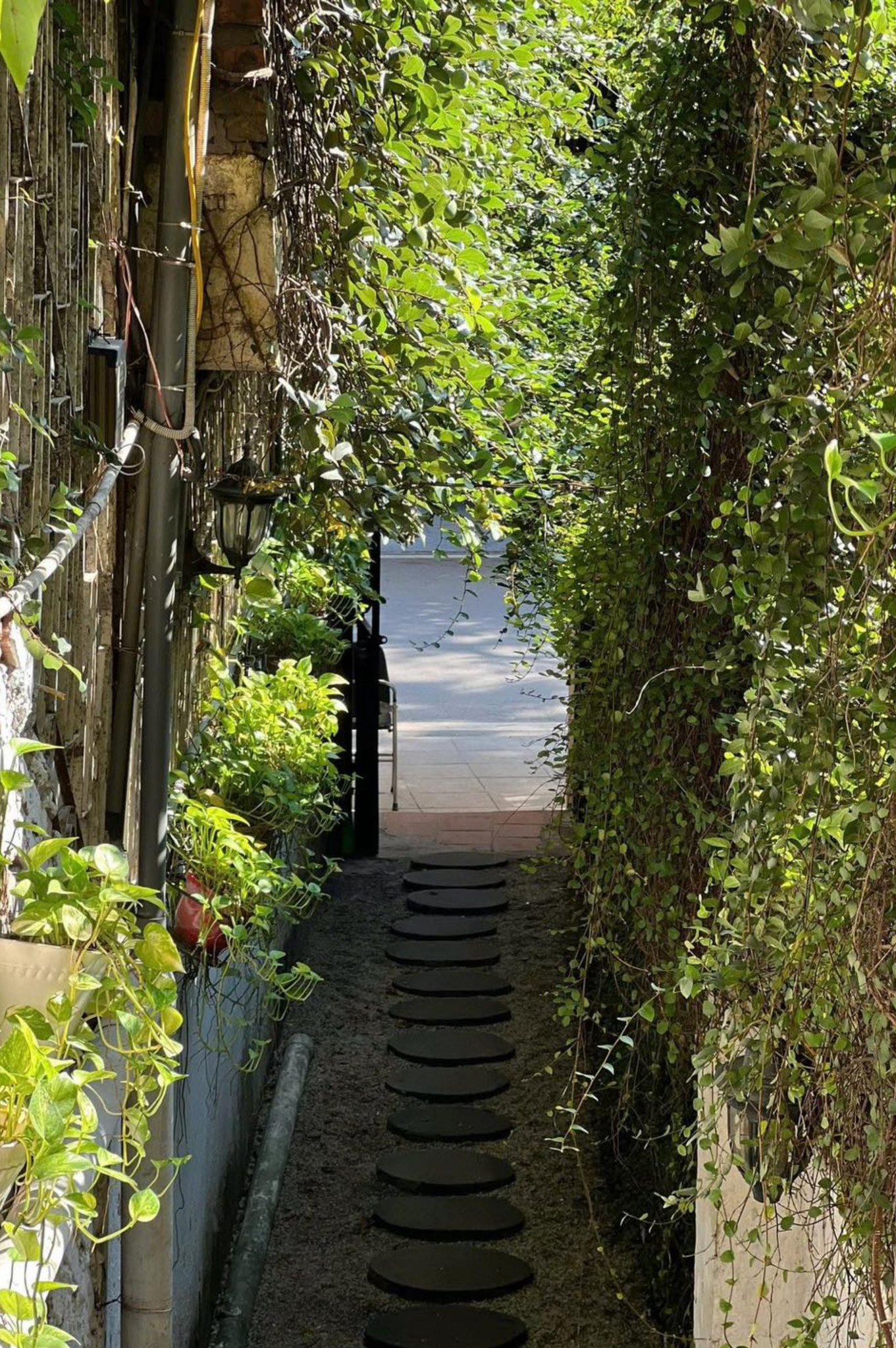 A Simple Brunch, A Meaningful Time | Salmonoid