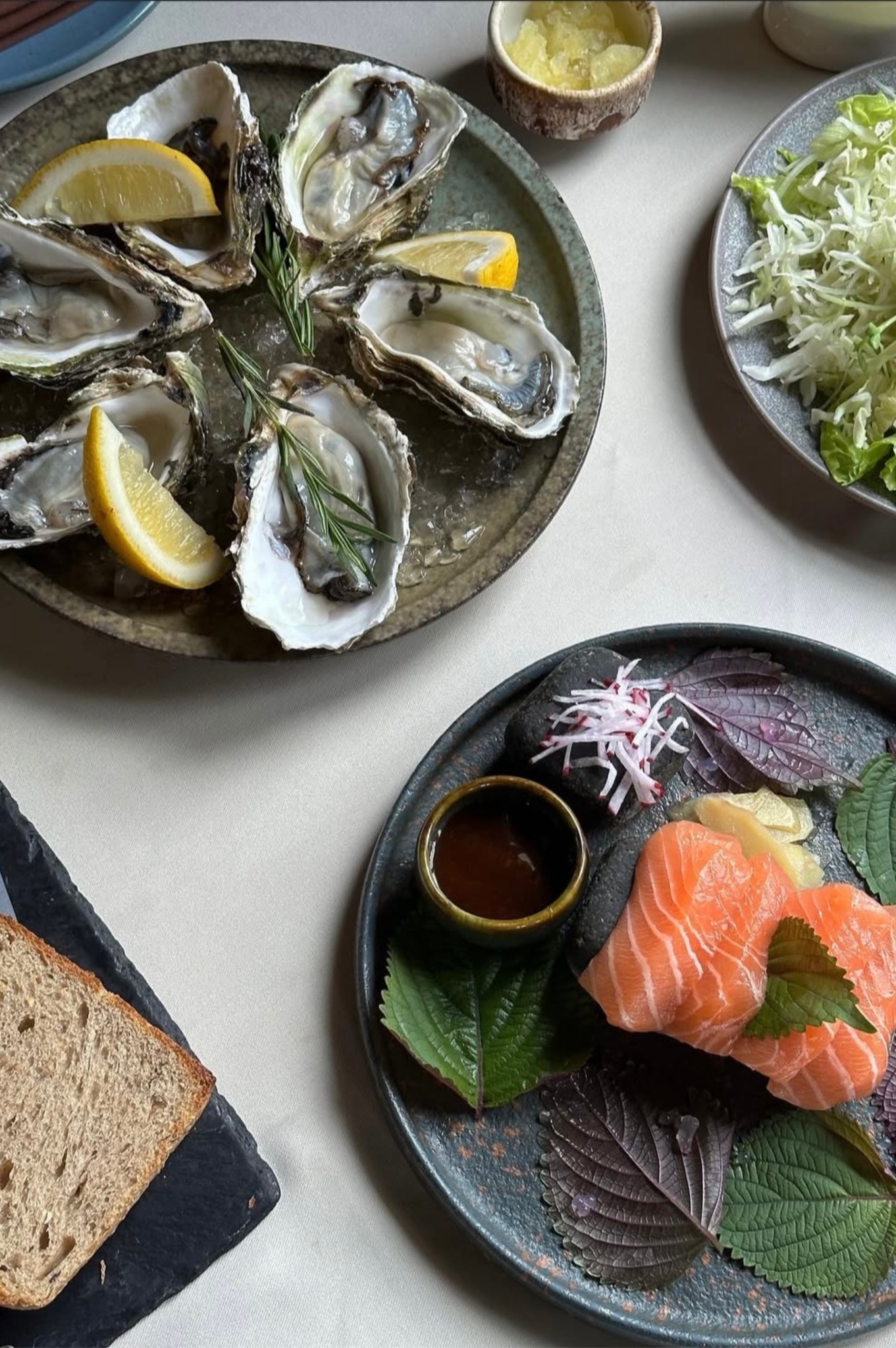 Niềm Vui Cuối Tuần – Tại Salmonoid